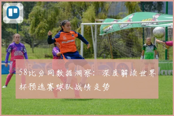 58比分网数据洞察：深度解读世界杯预选赛球队战绩走势